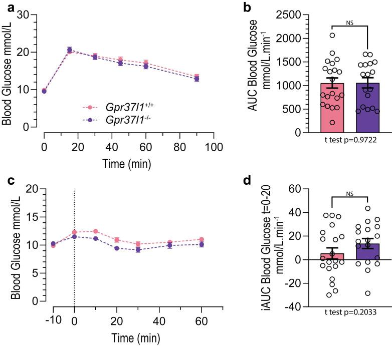 https://cdn.ncbi.nlm.nih.gov/pmc/blobs/29c3/9180194/2505a32136d5/cells-11-01814-g006.jpg