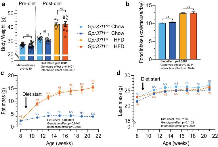 https://cdn.ncbi.nlm.nih.gov/pmc/blobs/29c3/9180194/2f0292c03b6b/cells-11-01814-g002.jpg