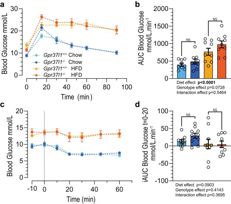 https://cdn.ncbi.nlm.nih.gov/pmc/blobs/29c3/9180194/ac7ff2800aaa/cells-11-01814-g003.jpg