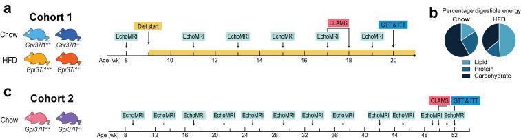 https://cdn.ncbi.nlm.nih.gov/pmc/blobs/29c3/9180194/d764fed74f6d/cells-11-01814-g001.jpg