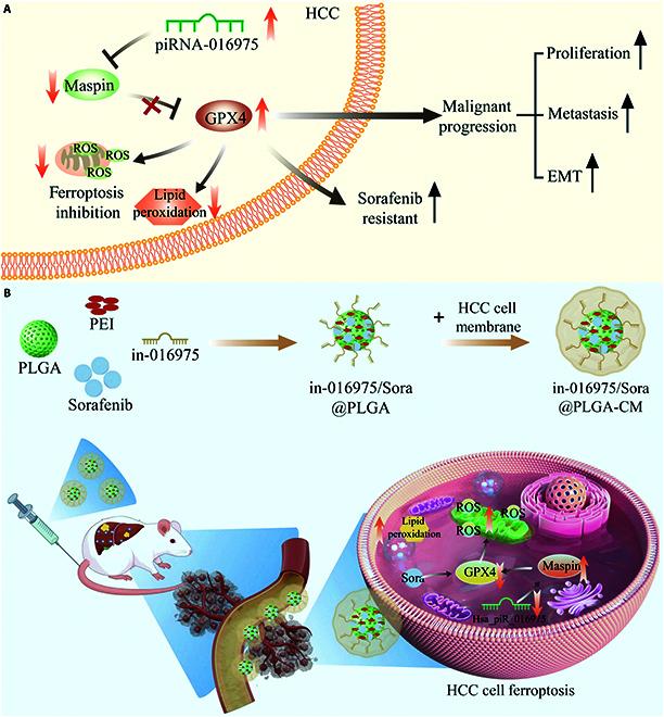 https://cdn.ncbi.nlm.nih.gov/pmc/blobs/29c5/12218766/2375c88c556d/bmr.0225.fig.010.jpg
