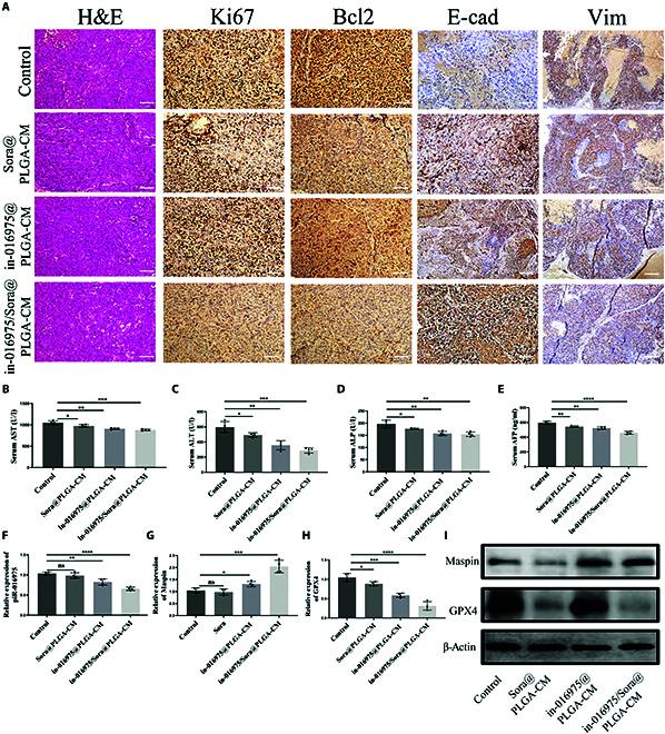 https://cdn.ncbi.nlm.nih.gov/pmc/blobs/29c5/12218766/481720d3e6be/bmr.0225.fig.009.jpg