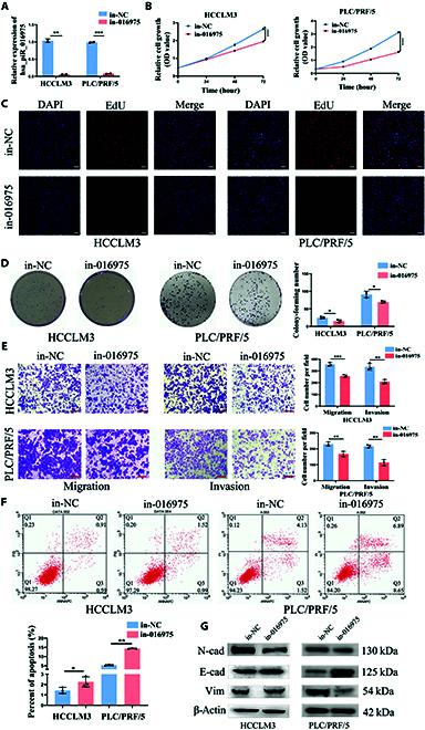 https://cdn.ncbi.nlm.nih.gov/pmc/blobs/29c5/12218766/976456fd8b01/bmr.0225.fig.002.jpg