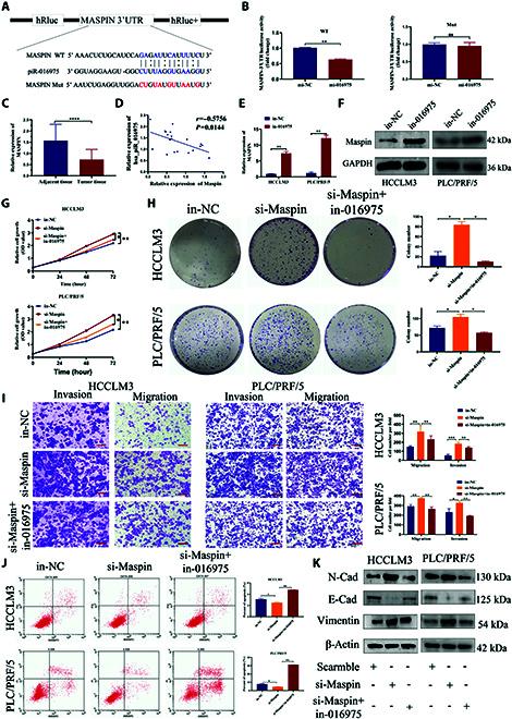 https://cdn.ncbi.nlm.nih.gov/pmc/blobs/29c5/12218766/ae6ea374533c/bmr.0225.fig.003.jpg
