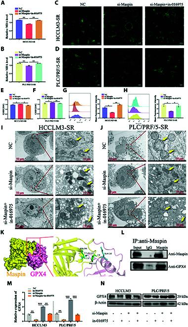 https://cdn.ncbi.nlm.nih.gov/pmc/blobs/29c5/12218766/b7f31eba1b4c/bmr.0225.fig.006.jpg