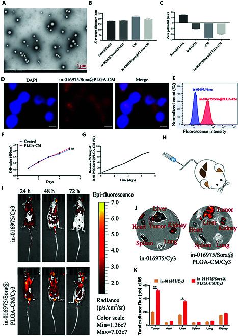 https://cdn.ncbi.nlm.nih.gov/pmc/blobs/29c5/12218766/bbd773aed818/bmr.0225.fig.007.jpg