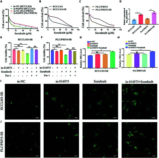 https://cdn.ncbi.nlm.nih.gov/pmc/blobs/29c5/12218766/fb077717c33e/bmr.0225.fig.004.jpg