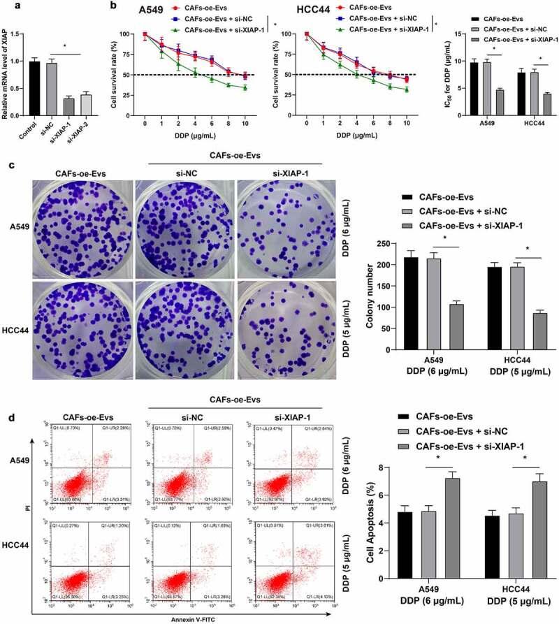 https://cdn.ncbi.nlm.nih.gov/pmc/blobs/29c8/8805932/b7ee369be01b/KBIE_A_2018099_F0006_OC.jpg