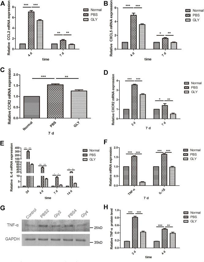 https://cdn.ncbi.nlm.nih.gov/pmc/blobs/29c8/9108160/5e2b88e535e7/fphar-13-841267-g006.jpg