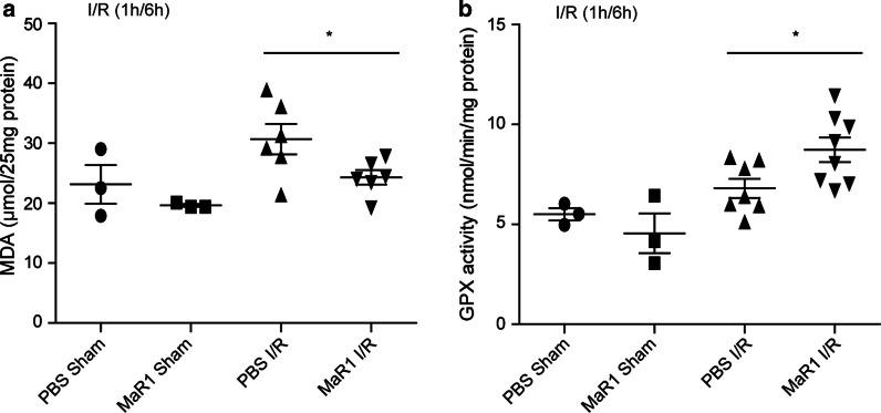 https://cdn.ncbi.nlm.nih.gov/pmc/blobs/29c9/7905895/0f91ccdb6dd4/10020_2021_280_Fig4_HTML.jpg