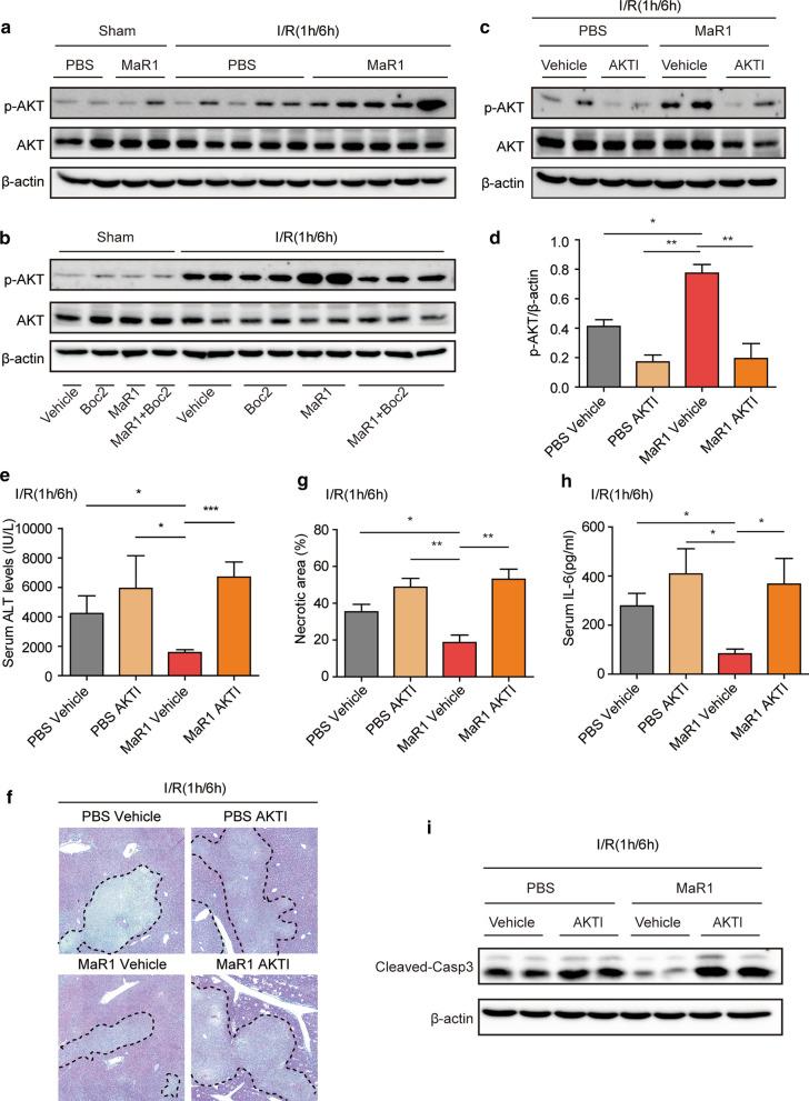 https://cdn.ncbi.nlm.nih.gov/pmc/blobs/29c9/7905895/3e3cc029dc9c/10020_2021_280_Fig6_HTML.jpg