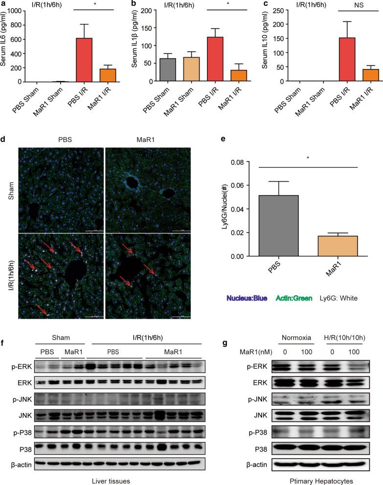 https://cdn.ncbi.nlm.nih.gov/pmc/blobs/29c9/7905895/7a54ce47636a/10020_2021_280_Fig3_HTML.jpg