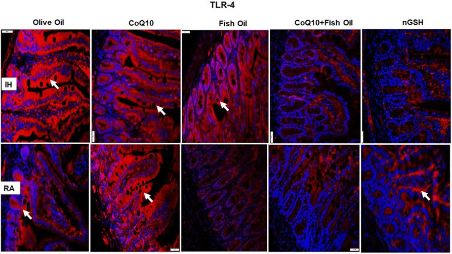 https://cdn.ncbi.nlm.nih.gov/pmc/blobs/29cb/8882692/191dc8791dc6/nihms-1732301-f0004.jpg