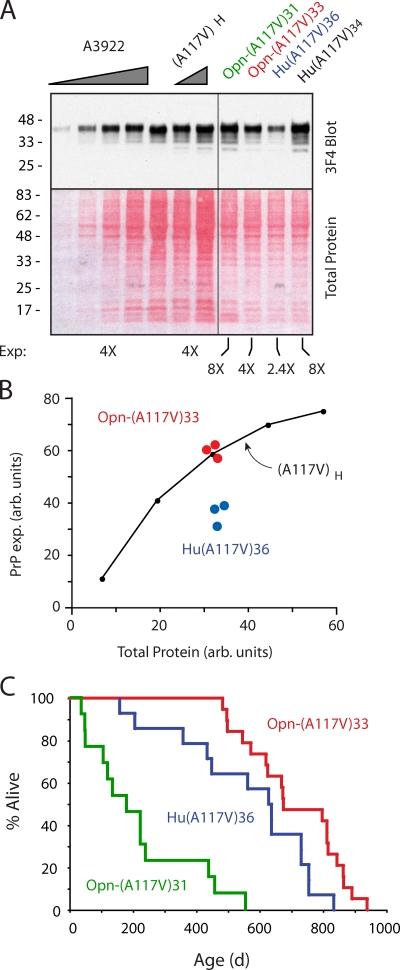https://cdn.ncbi.nlm.nih.gov/pmc/blobs/29cc/2828915/4b53837fedb8/JCB_200911115_RGB_Fig5.jpg