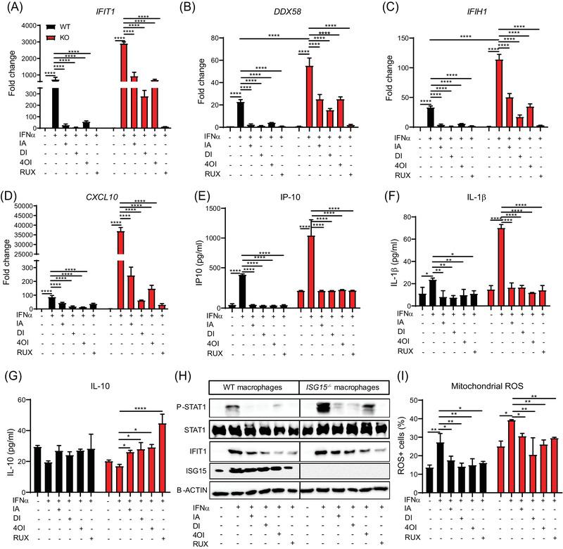 https://cdn.ncbi.nlm.nih.gov/pmc/blobs/29cd/9288839/c68a83e1a24c/CTM2-12-e931-g010.jpg