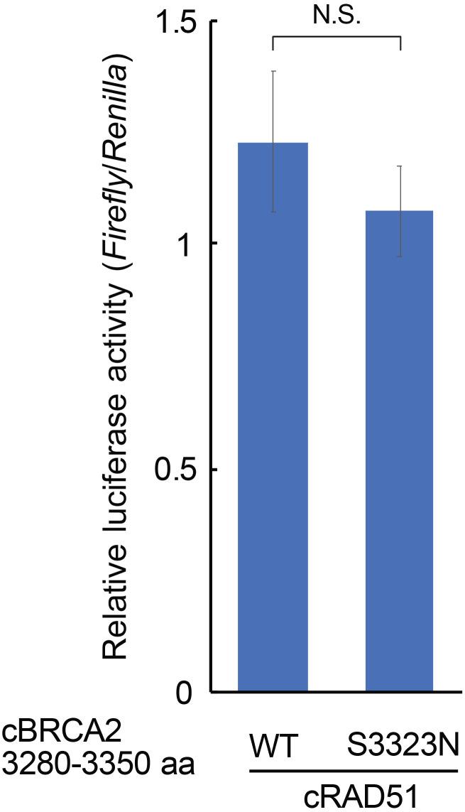 https://cdn.ncbi.nlm.nih.gov/pmc/blobs/29ce/8182314/5ccf830f0237/jvms-83-759-g006.jpg