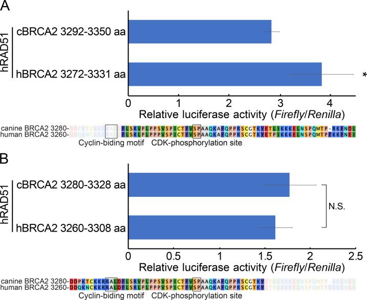 https://cdn.ncbi.nlm.nih.gov/pmc/blobs/29ce/8182314/8721a3c2b6c9/jvms-83-759-g004.jpg