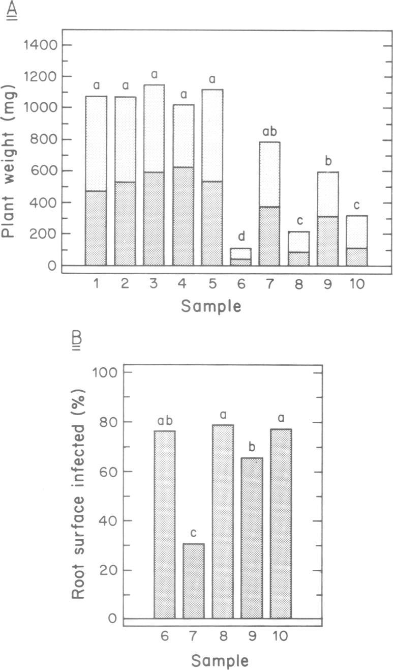 https://cdn.ncbi.nlm.nih.gov/pmc/blobs/29cf/400813/cc445568e90d/emboj00126-0028-a.jpg