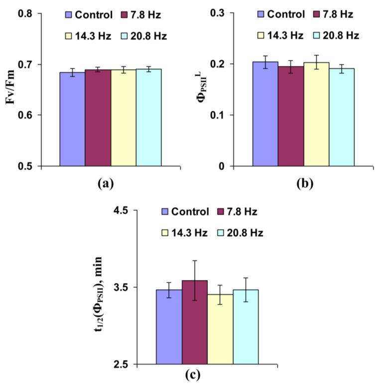 https://cdn.ncbi.nlm.nih.gov/pmc/blobs/29cf/7828558/446394d81ecf/cells-10-00149-g005.jpg