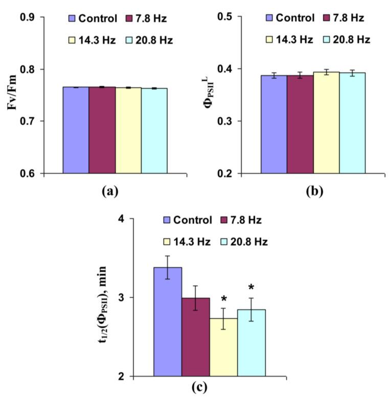 https://cdn.ncbi.nlm.nih.gov/pmc/blobs/29cf/7828558/657610cde4c3/cells-10-00149-g003.jpg