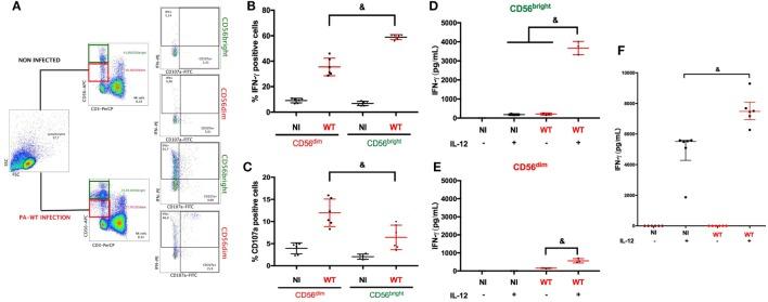 https://cdn.ncbi.nlm.nih.gov/pmc/blobs/29d1/5641345/c95348ffb316/fimmu-08-01283-g001.jpg