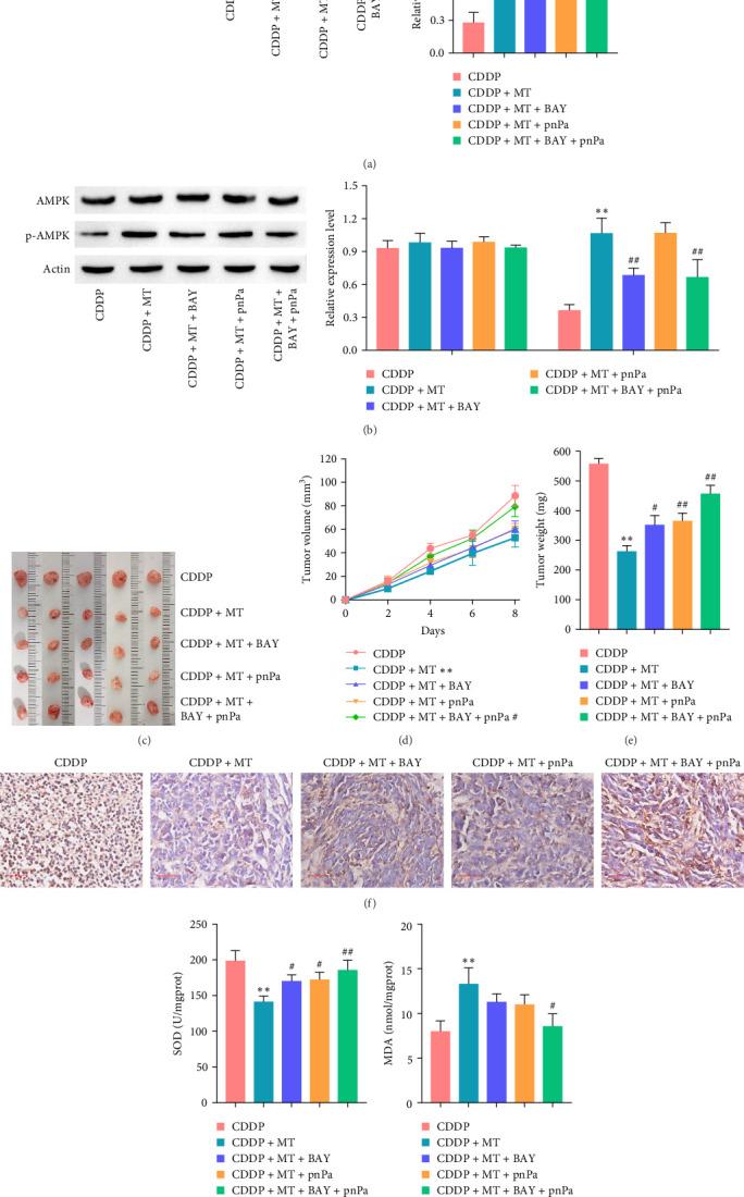 https://cdn.ncbi.nlm.nih.gov/pmc/blobs/29d2/12014253/16b69e639a36/ACP2025-5714423.008.jpg