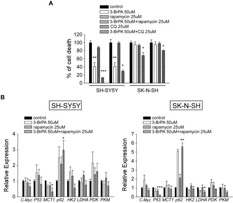 https://cdn.ncbi.nlm.nih.gov/pmc/blobs/29d2/7605667/7b803d4c32ed/OTT-13-11125-g0003.jpg