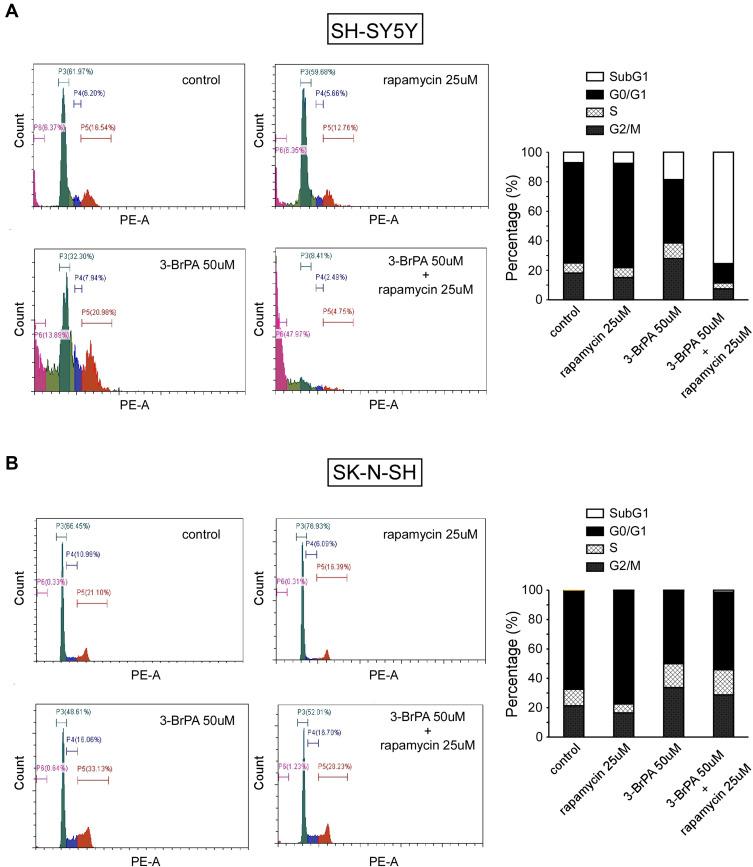 https://cdn.ncbi.nlm.nih.gov/pmc/blobs/29d2/7605667/c9f0628fda32/OTT-13-11125-g0006.jpg