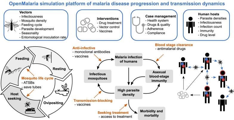https://cdn.ncbi.nlm.nih.gov/pmc/blobs/29d3/9167503/4582d0548c08/40249_2022_981_Fig1_HTML.jpg