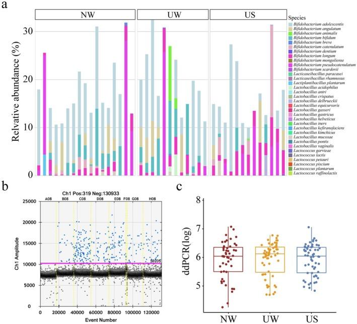 https://cdn.ncbi.nlm.nih.gov/pmc/blobs/29d7/12227796/1f09a2c6fe1f/FSN3-13-e70531-g006.jpg
