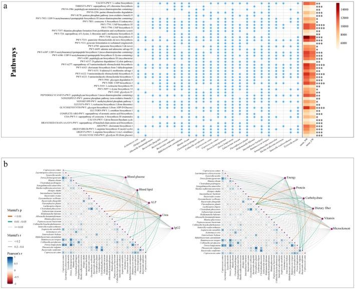 https://cdn.ncbi.nlm.nih.gov/pmc/blobs/29d7/12227796/840942a5c8a6/FSN3-13-e70531-g001.jpg