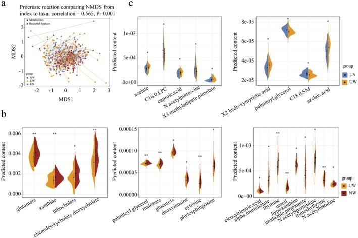 https://cdn.ncbi.nlm.nih.gov/pmc/blobs/29d7/12227796/9433d2138886/FSN3-13-e70531-g002.jpg