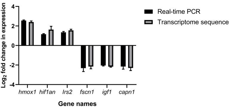 https://cdn.ncbi.nlm.nih.gov/pmc/blobs/29da/11353591/adce352e301e/genes-15-00987-g006.jpg