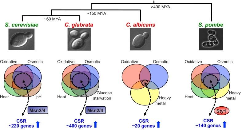 https://cdn.ncbi.nlm.nih.gov/pmc/blobs/29da/3867497/36f0af53c6d4/JEB088930F3.jpg
