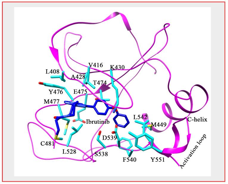https://cdn.ncbi.nlm.nih.gov/pmc/blobs/29de/8198777/6fadc2249fcb/ijms-22-05707-g004.jpg