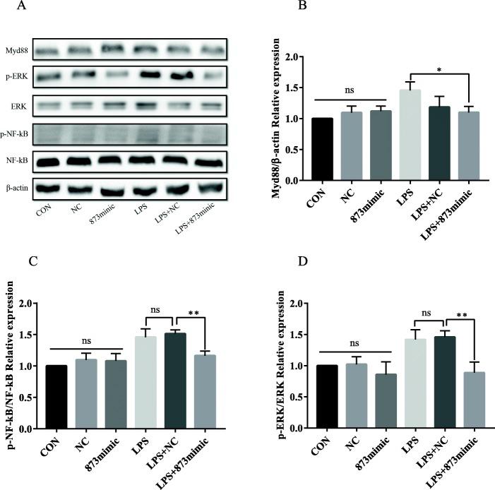 https://cdn.ncbi.nlm.nih.gov/pmc/blobs/29e2/7082961/72a3720d2922/12974_2020_1761_Fig5_HTML.jpg