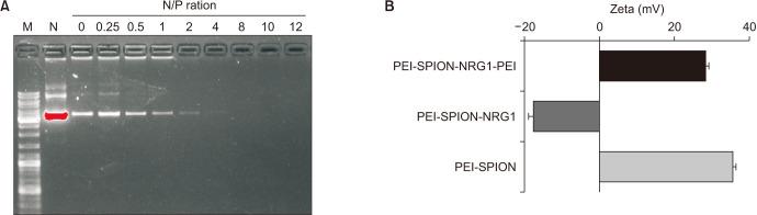 https://cdn.ncbi.nlm.nih.gov/pmc/blobs/29e3/9091825/0ad50b52410c/icu-63-359-g003.jpg
