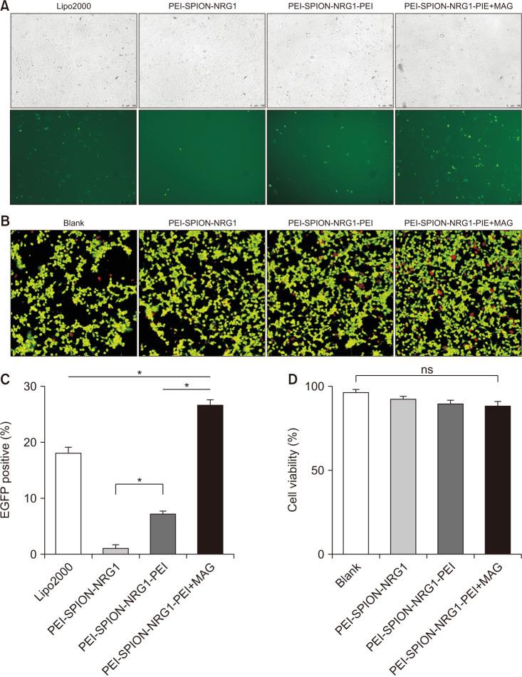 https://cdn.ncbi.nlm.nih.gov/pmc/blobs/29e3/9091825/9344f06ffad9/icu-63-359-g004.jpg