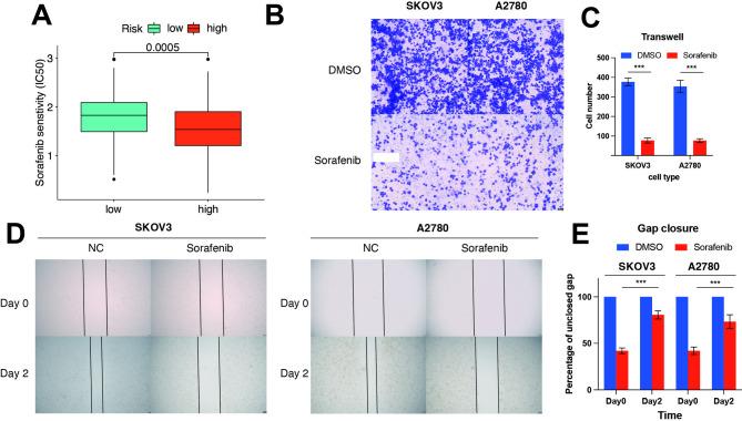 https://cdn.ncbi.nlm.nih.gov/pmc/blobs/29e4/12075501/2ece6a36bdd8/41598_2025_1212_Fig2_HTML.jpg