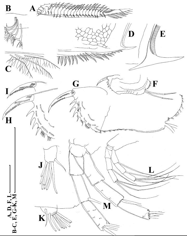 https://cdn.ncbi.nlm.nih.gov/pmc/blobs/29e5/7698698/1398bf9a8d5f/peerj-08-10410-g005.jpg