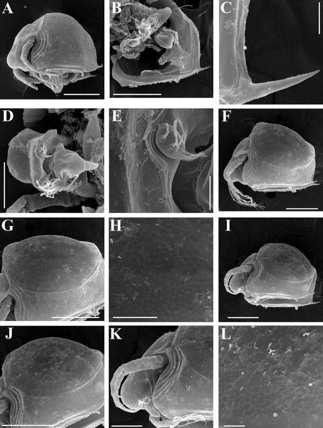 https://cdn.ncbi.nlm.nih.gov/pmc/blobs/29e5/7698698/2d53d6ddc1eb/peerj-08-10410-g007.jpg