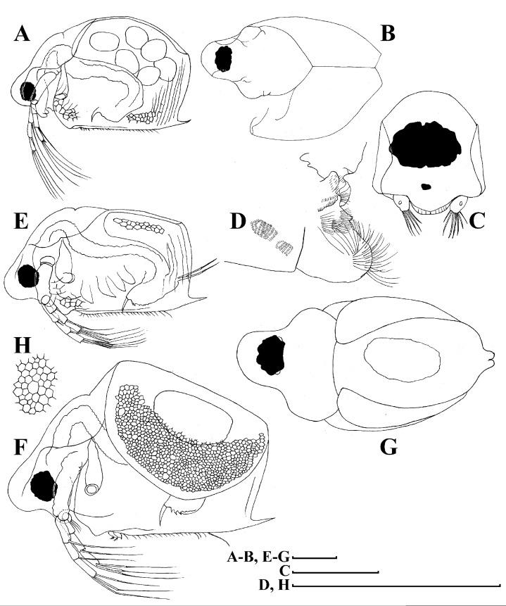 https://cdn.ncbi.nlm.nih.gov/pmc/blobs/29e5/7698698/4c0d23e7150a/peerj-08-10410-g004.jpg