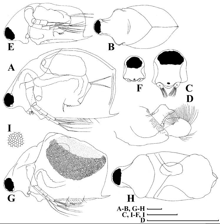 https://cdn.ncbi.nlm.nih.gov/pmc/blobs/29e5/7698698/4d897aedb25c/peerj-08-10410-g016.jpg