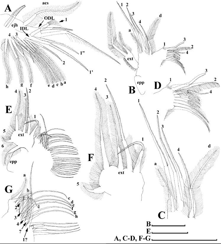 https://cdn.ncbi.nlm.nih.gov/pmc/blobs/29e5/7698698/6674c368c608/peerj-08-10410-g013.jpg