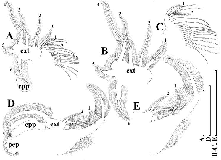https://cdn.ncbi.nlm.nih.gov/pmc/blobs/29e5/7698698/7124f3b5fde6/peerj-08-10410-g014.jpg