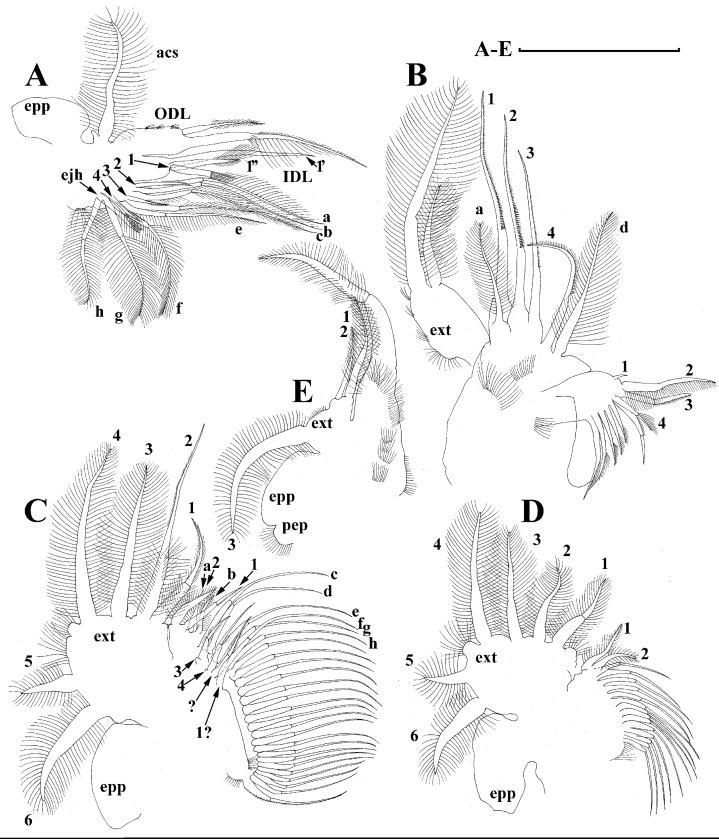 https://cdn.ncbi.nlm.nih.gov/pmc/blobs/29e5/7698698/b877be0317c8/peerj-08-10410-g006.jpg