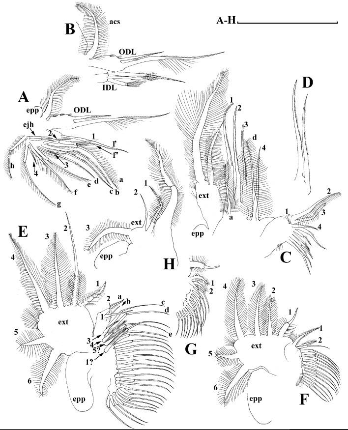 https://cdn.ncbi.nlm.nih.gov/pmc/blobs/29e5/7698698/bc5ba7b8c42f/peerj-08-10410-g018.jpg