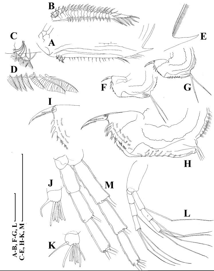 https://cdn.ncbi.nlm.nih.gov/pmc/blobs/29e5/7698698/be50f76f5b40/peerj-08-10410-g017.jpg