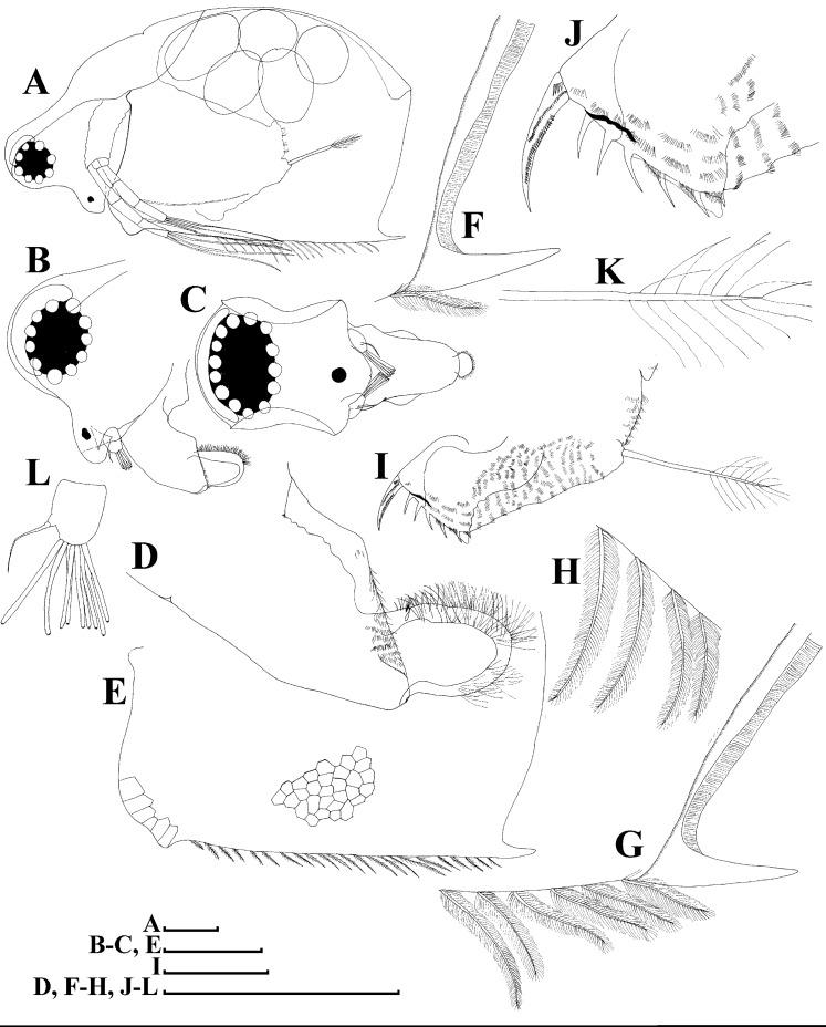 https://cdn.ncbi.nlm.nih.gov/pmc/blobs/29e5/7698698/c2249d2950c7/peerj-08-10410-g011.jpg