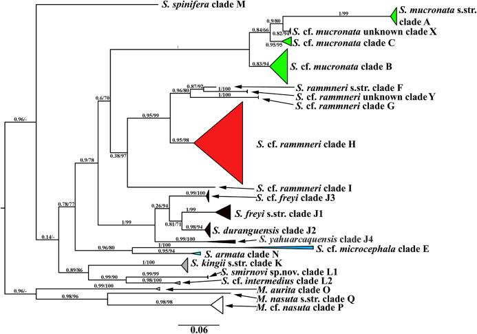 https://cdn.ncbi.nlm.nih.gov/pmc/blobs/29e5/7698698/f55540f9012d/peerj-08-10410-g002.jpg